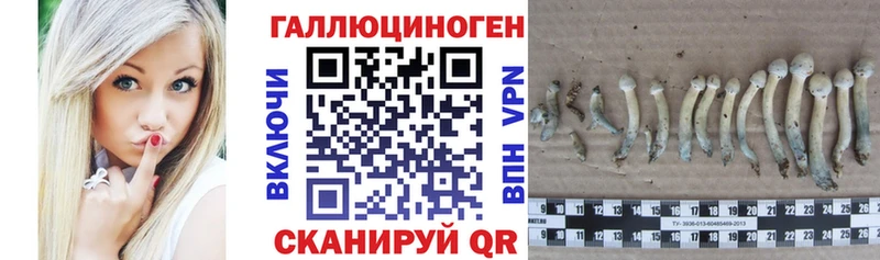 где купить наркоту  Игра  сайты даркнета какой сайт  Галлюциногенные грибы прущие грибы 