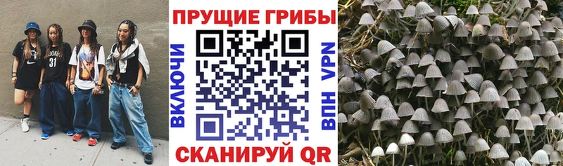 Галлюциногенные грибы GOLDEN TEACHER Игра